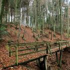 Brücke im Wald