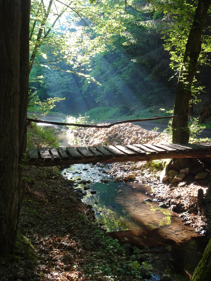 Brücke im Wald