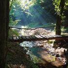 Brücke im Wald