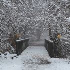 Brücke im Wald