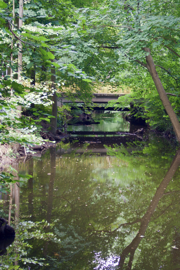 Brücke im Wald