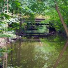 Brücke im Wald