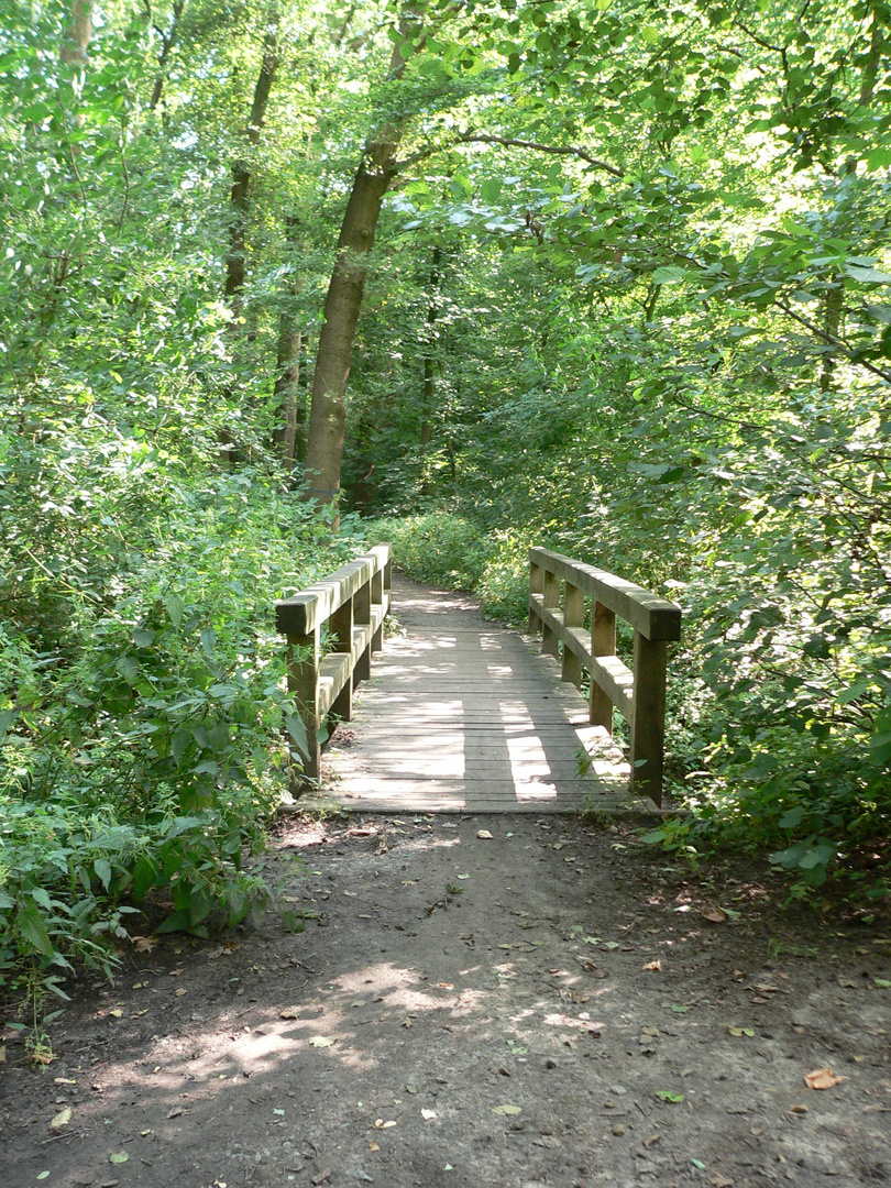 Brücke im Wald