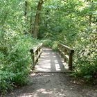 Brücke im Wald