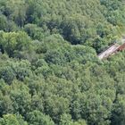 Brücke im Wald