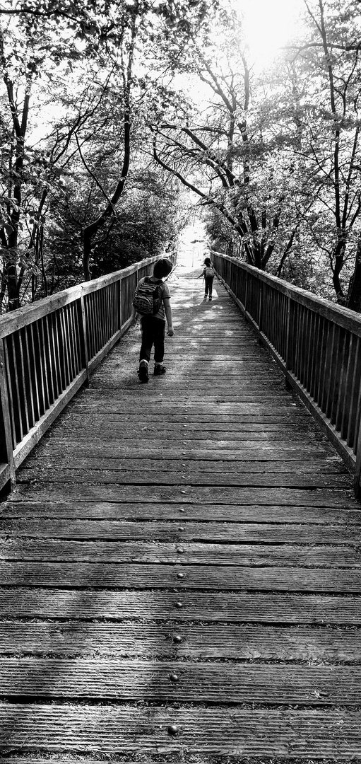 Brücke im Wald