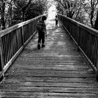 Brücke im Wald