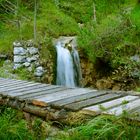 Brücke im Wald