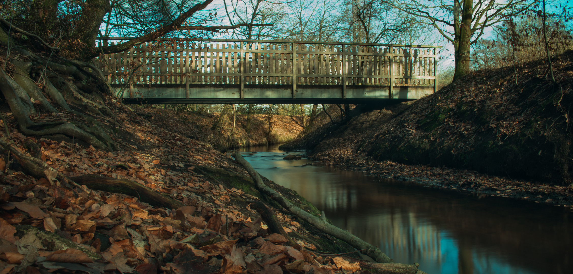 Brücke im Wald