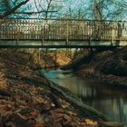 Brücke im Wald