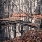 Brücke im Wald