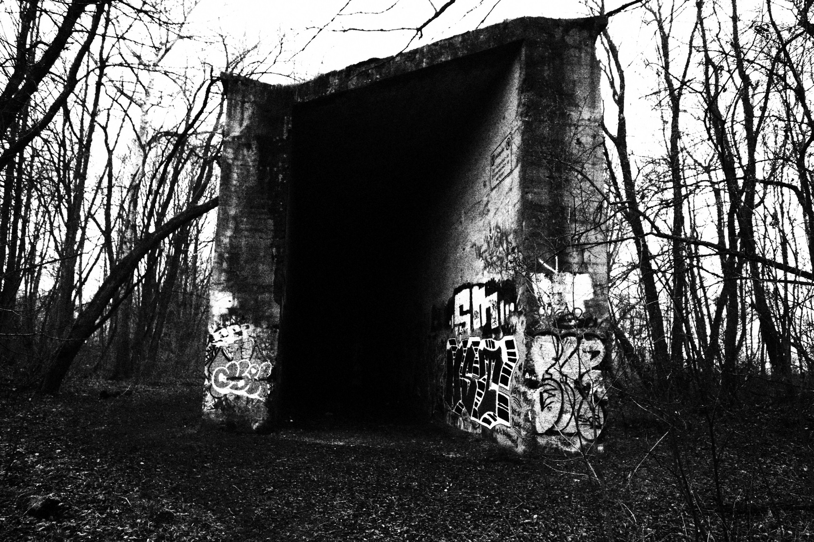 Brücke im Wald