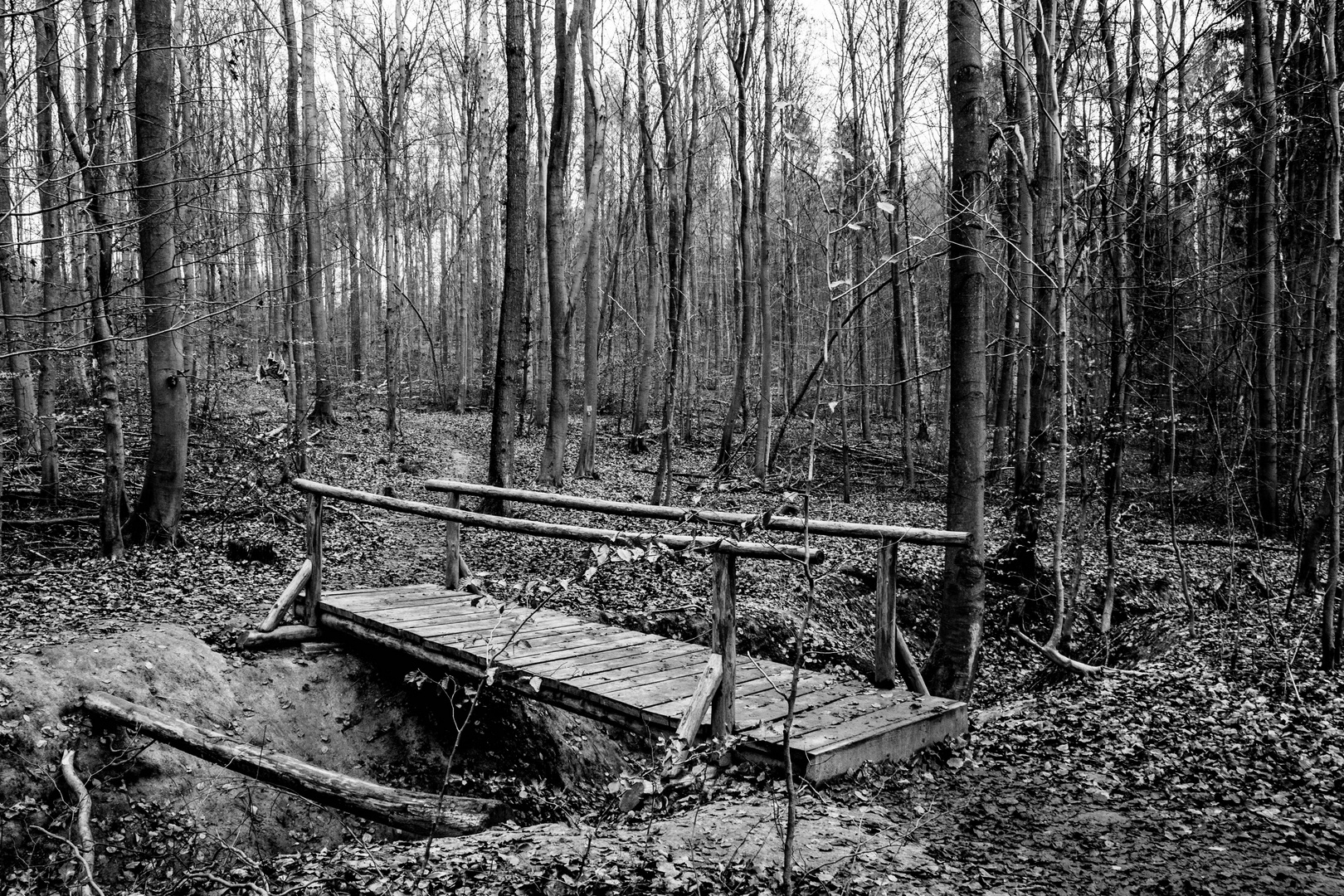 Brücke im Wald