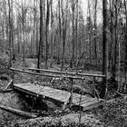 Brücke im Wald