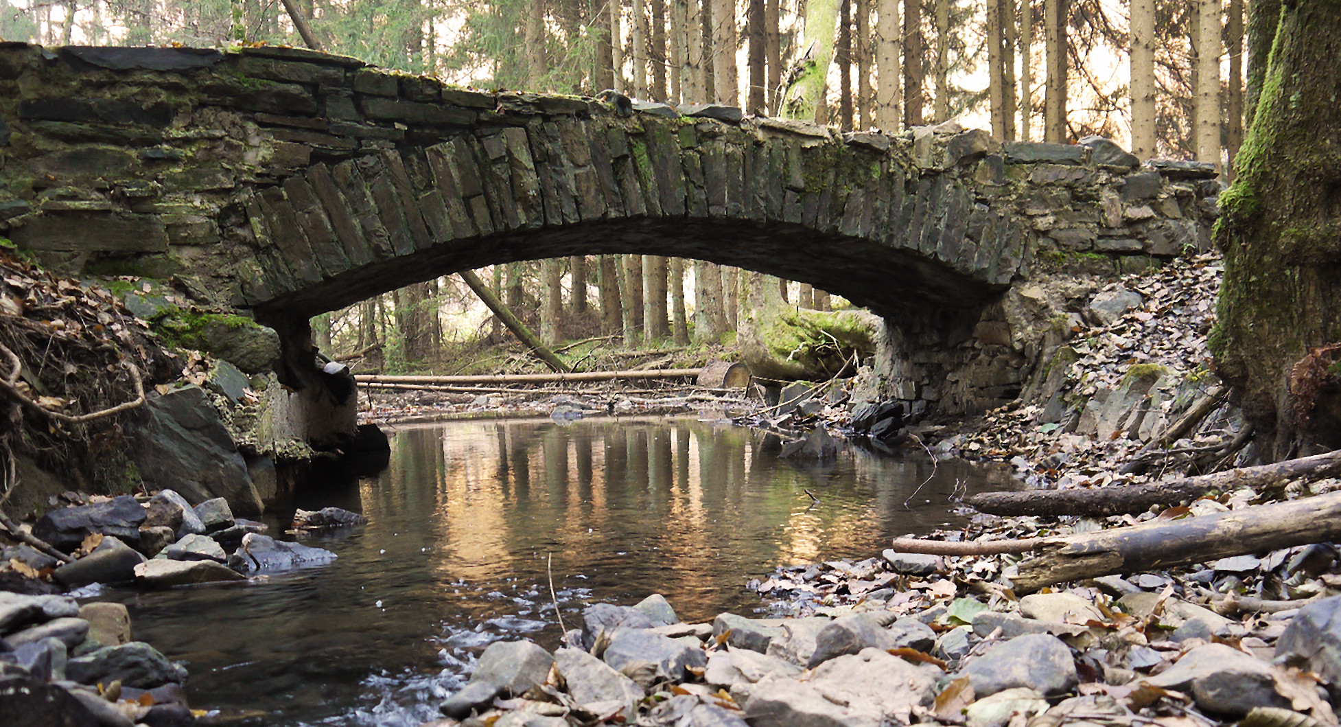 Brücke im Wald neu