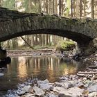 Brücke im Wald neu