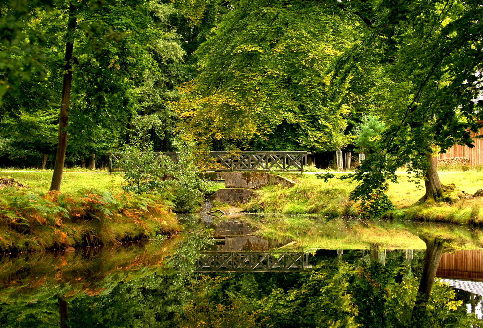 Brücke im Wildpark...