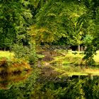 Brücke im Wildpark...