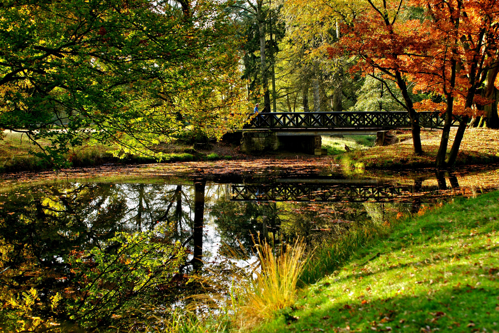 Brücke im Wildpark in Dülmen