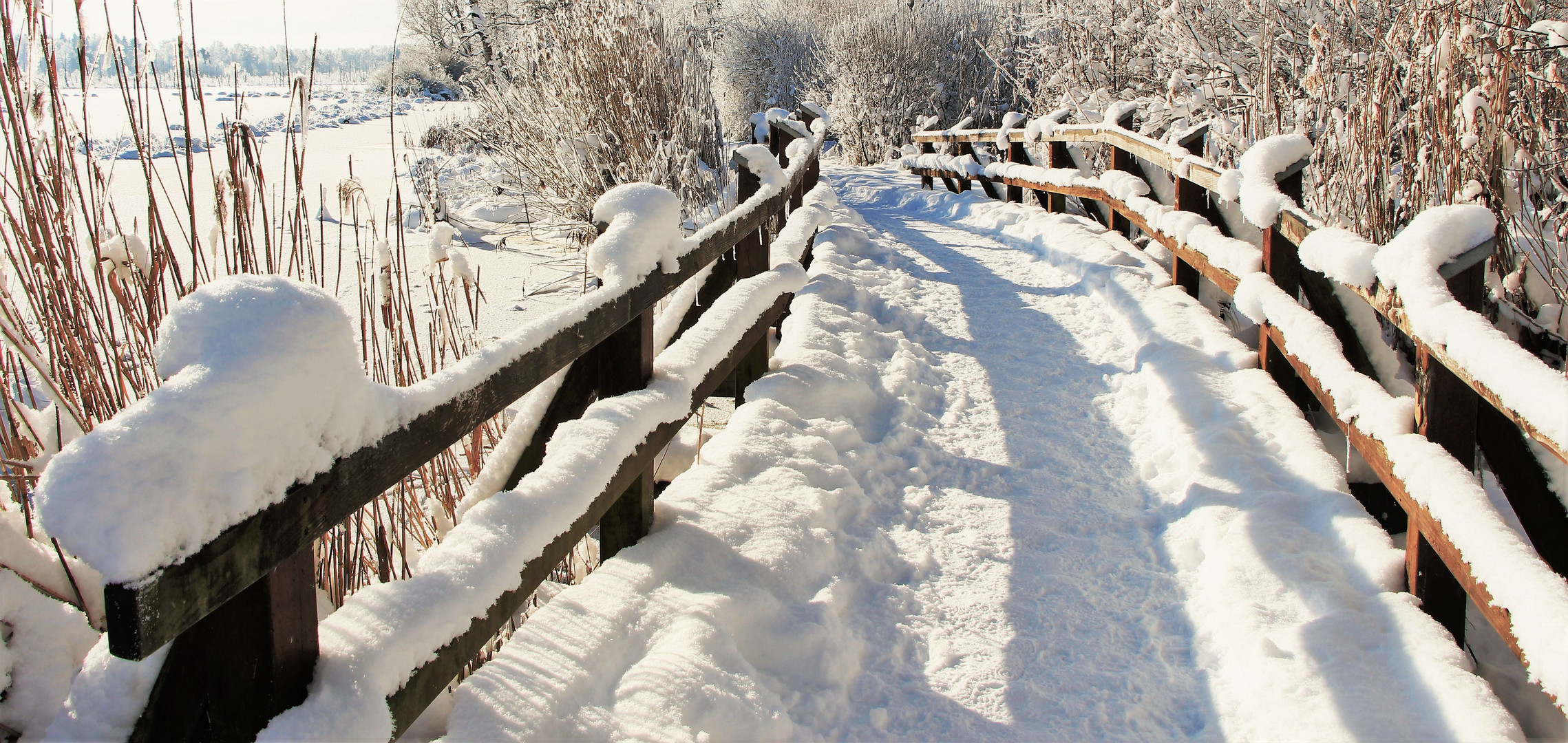 Brücke im Winter