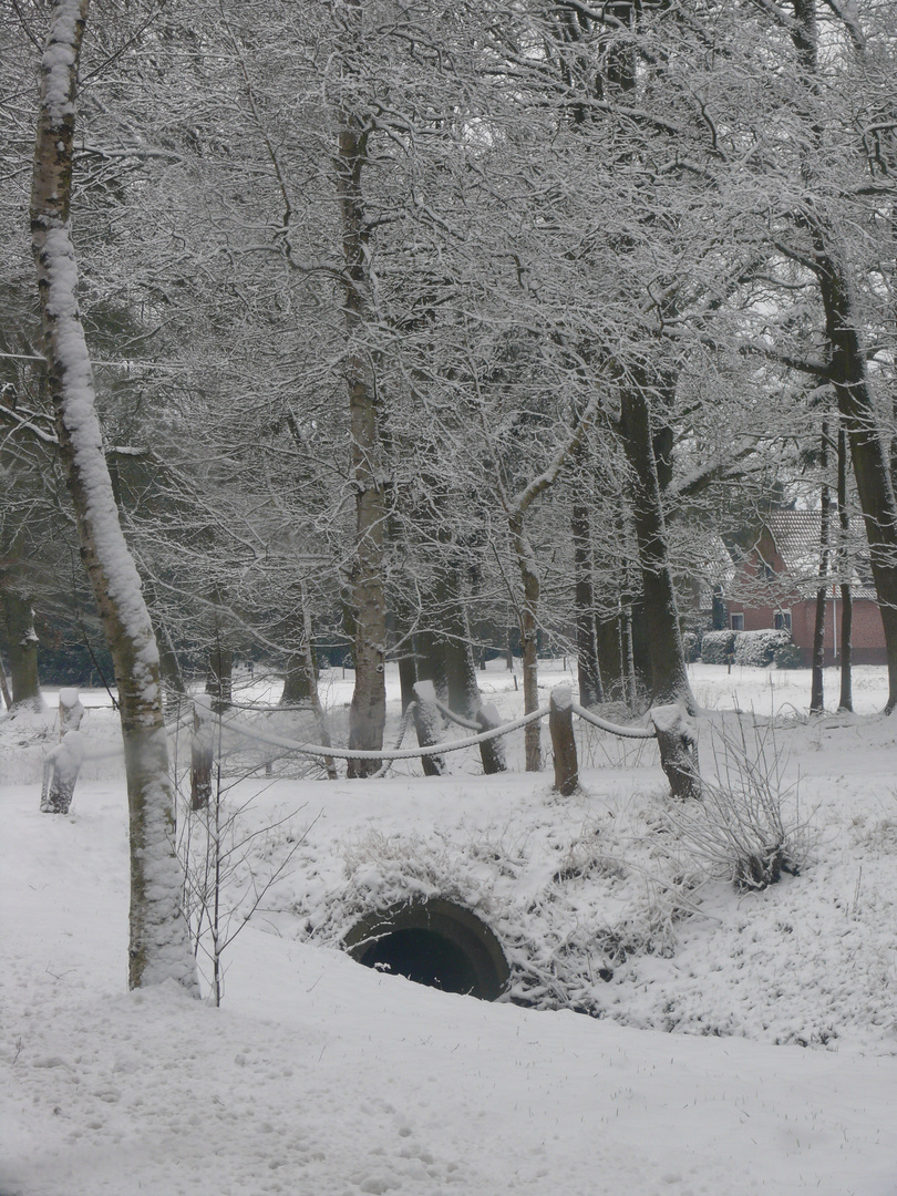 Brücke Im Winter