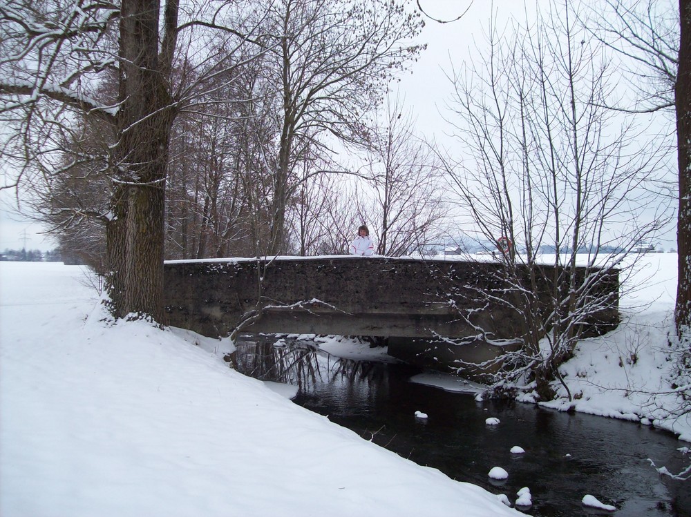 Brücke im WInter