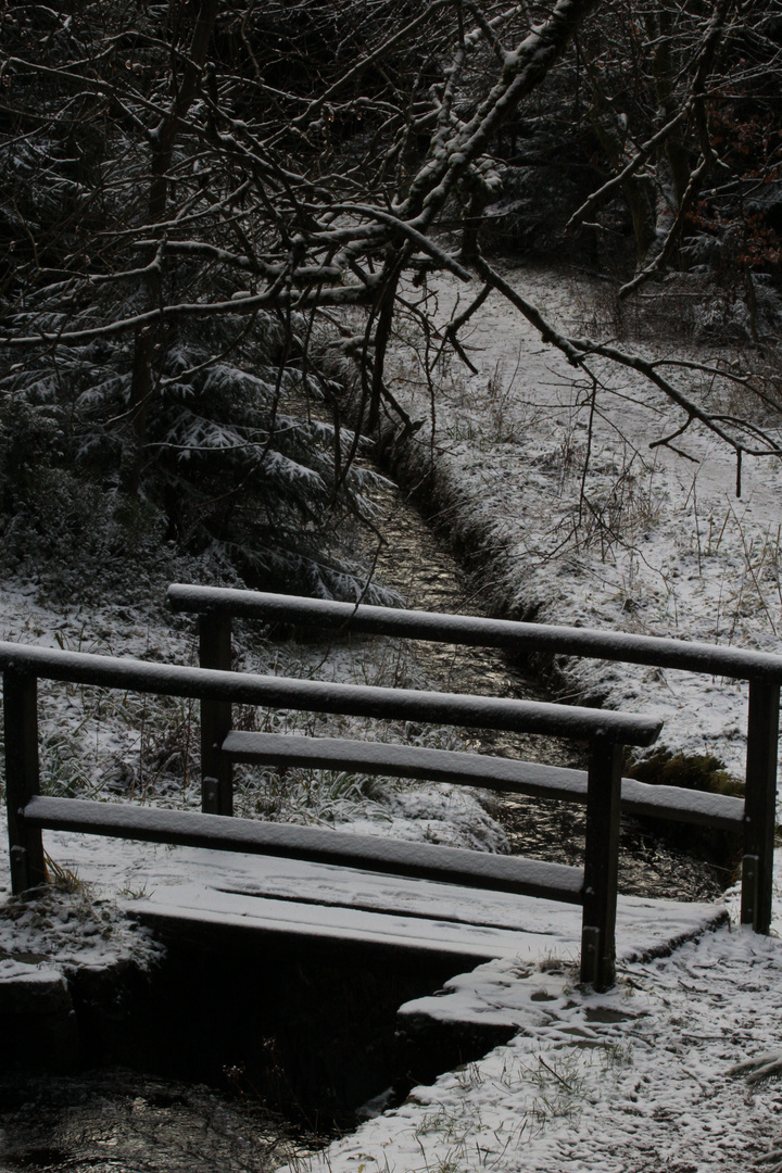 Brücke im Winter