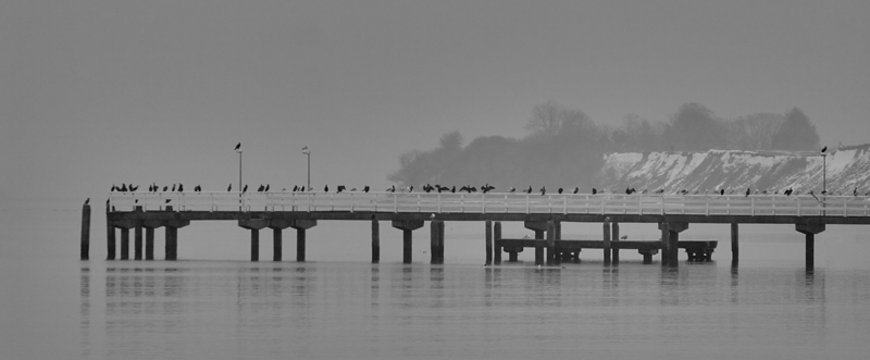 Brücke im Winter