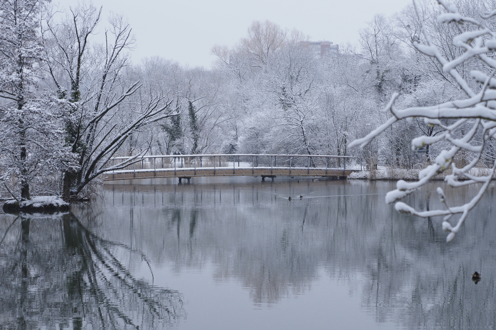 Brücke im Winter