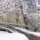 Brücke im Winter