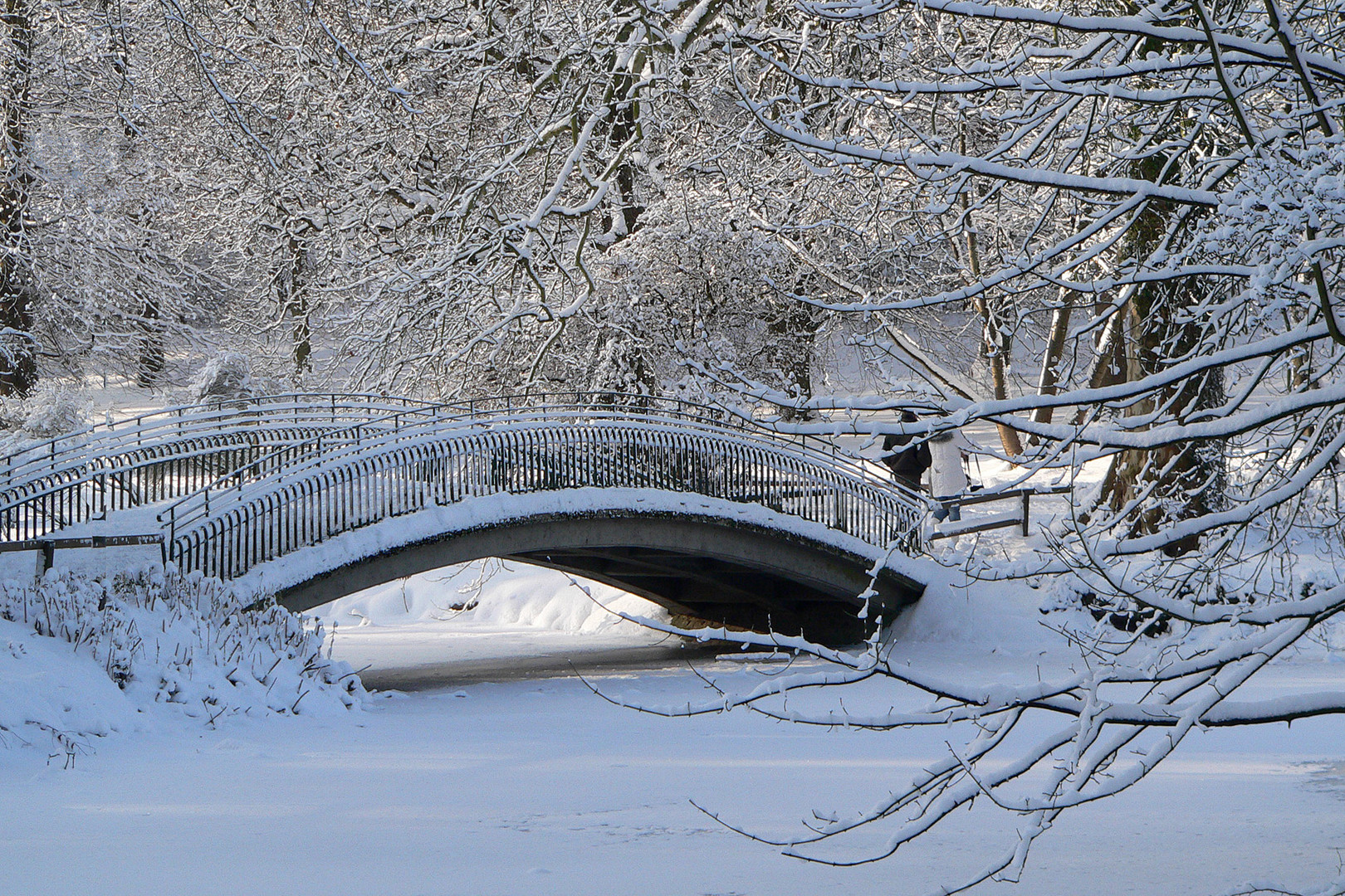 Brücke im Winter (Rombergpark)