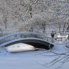 Brücke im Winter (Rombergpark)