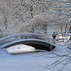 Brücke im Winter (Rombergpark)