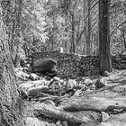 Brücke im Yosemite Park