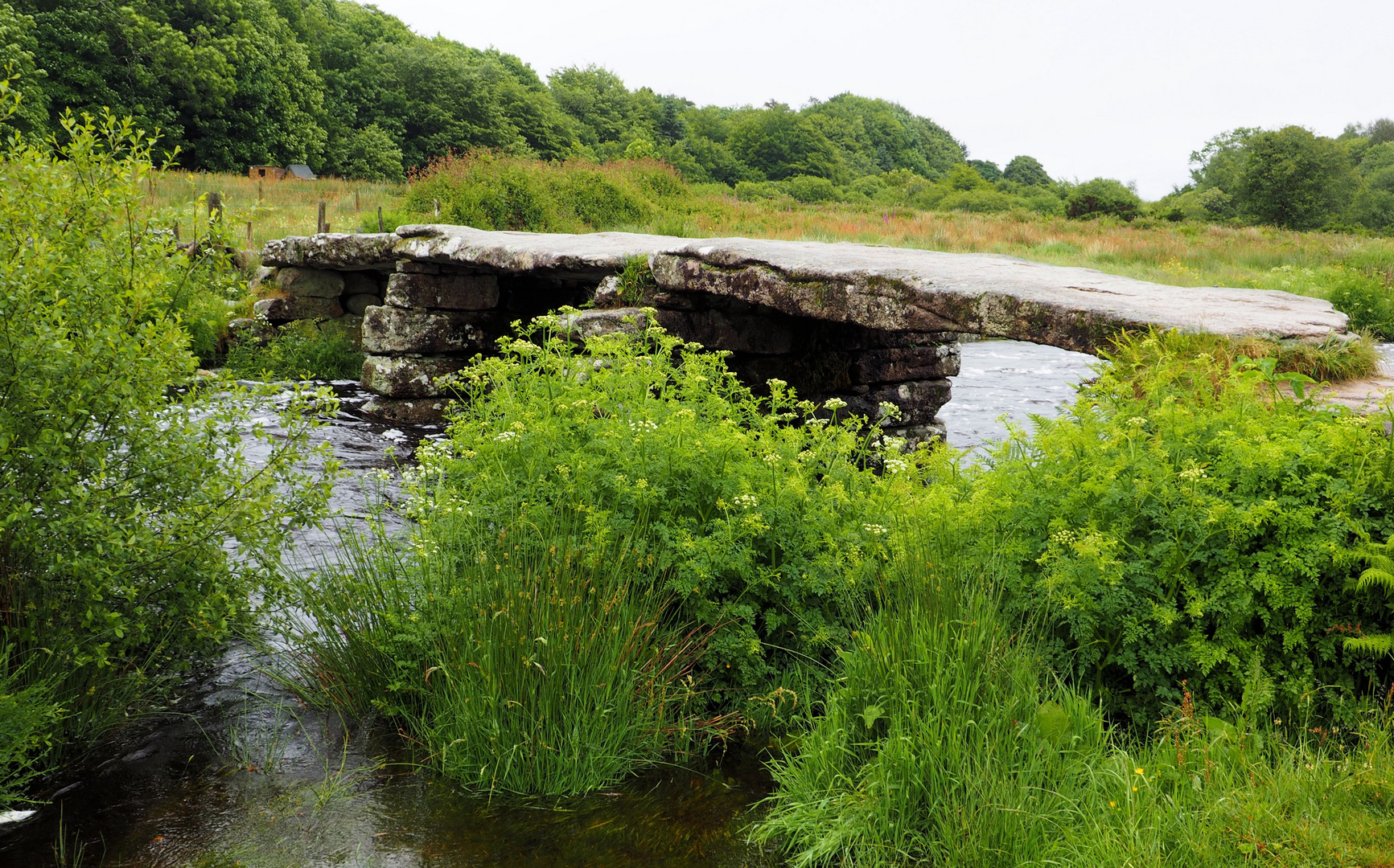 Brücke in Dartmoor.... 