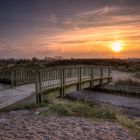 Brücke in den Dünen