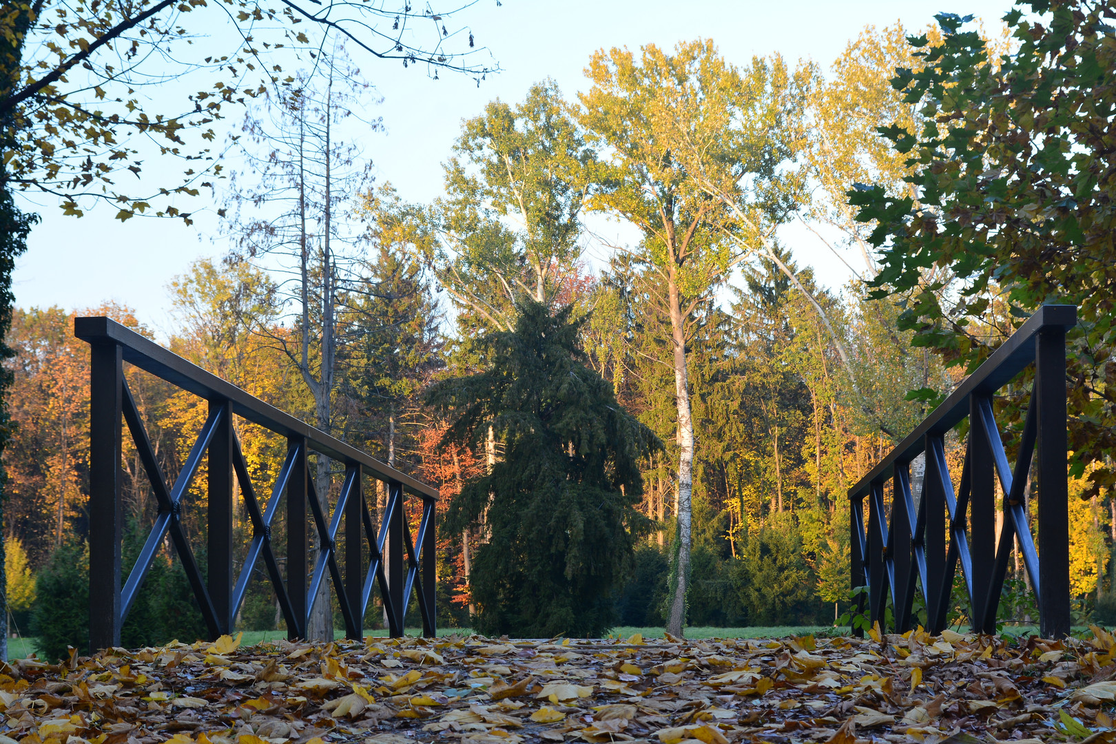 Brücke in den Herbst