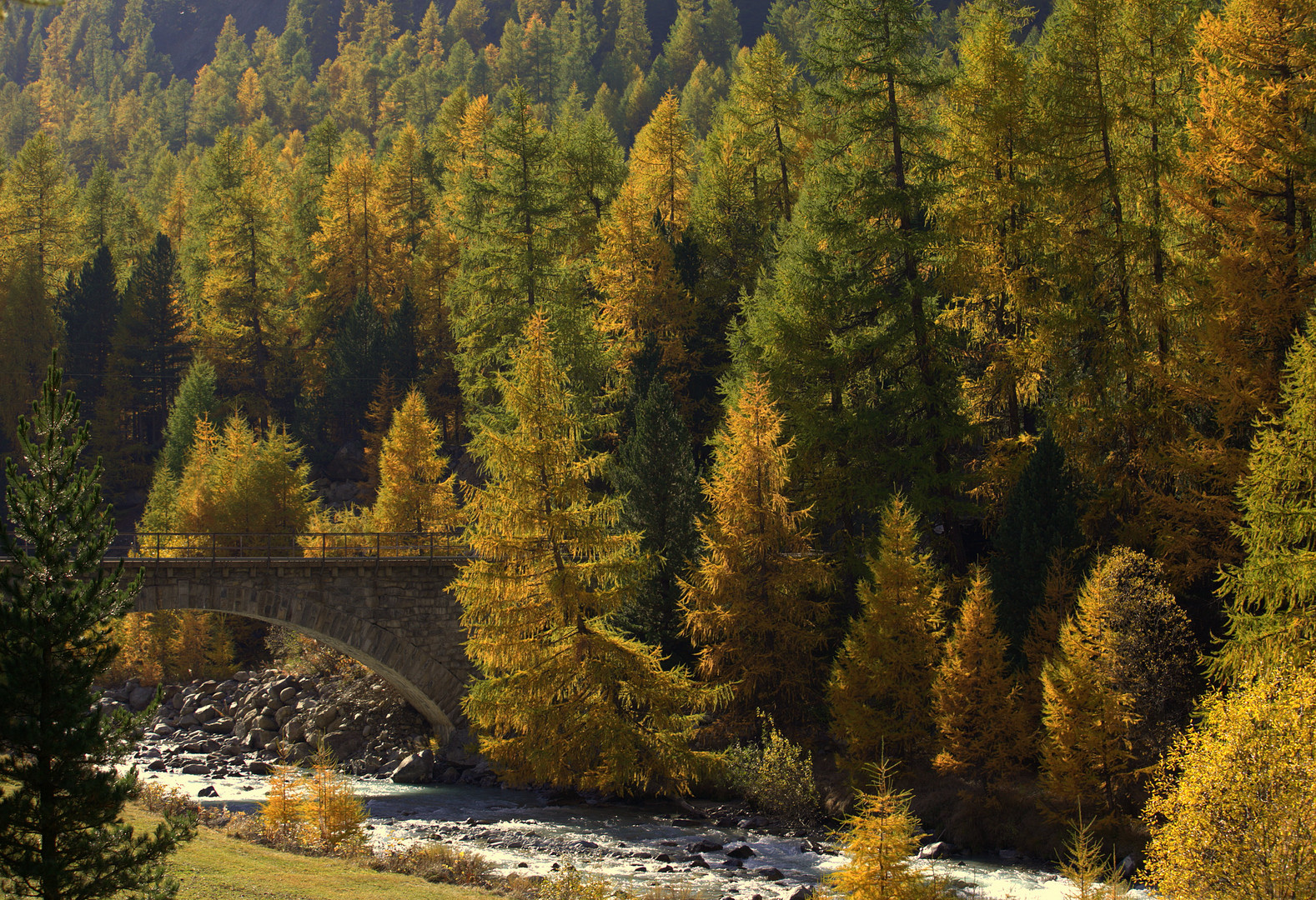 brücke in den herbst