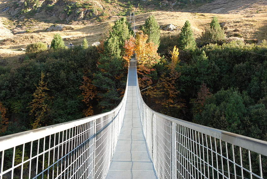 Brücke in den Herbst