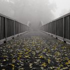 Brücke in den Herbst