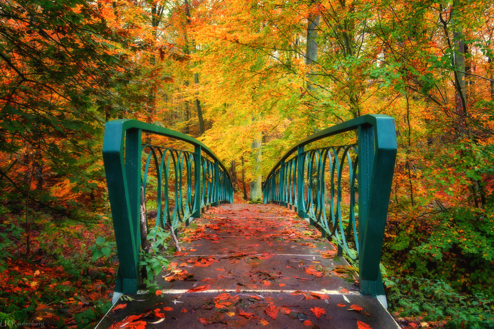 Brücke in den Herbstwald