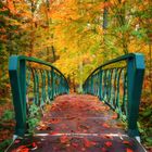 Brücke in den Herbstwald