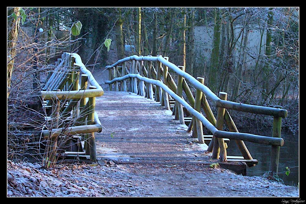 Brücke in den Winter