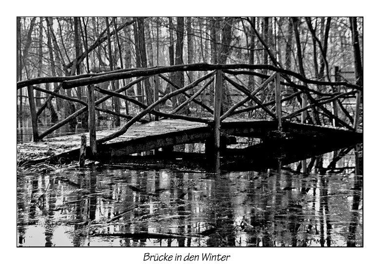 Brücke in den Winter