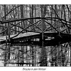 Brücke in den Winter