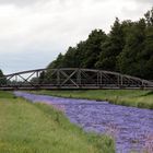 Brücke in der Nähe von Freiburg bei March / Hugstetten