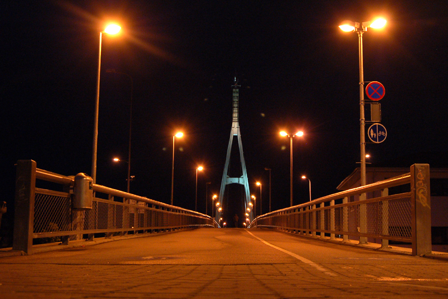 Brücke in die Nacht