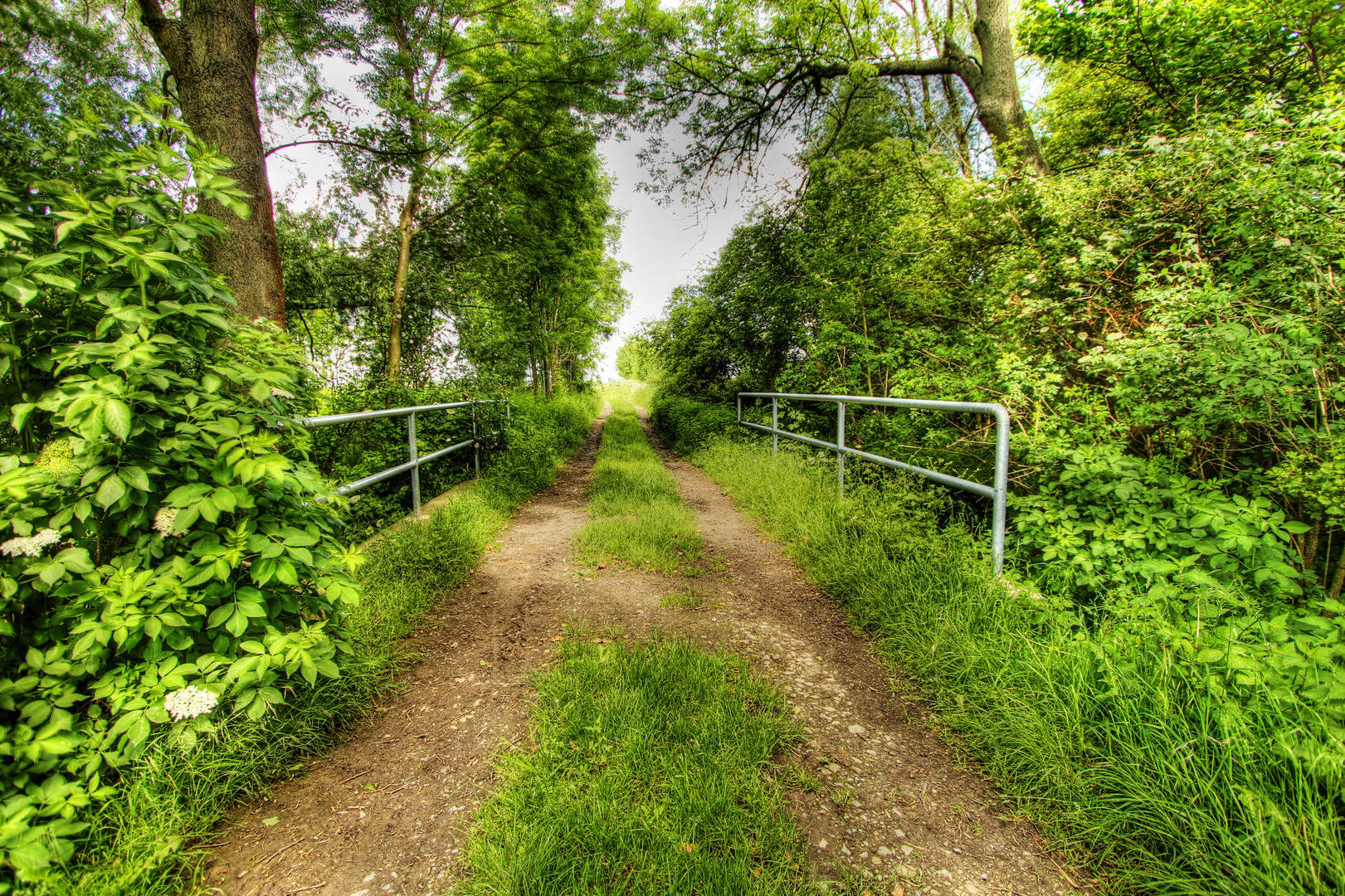 Brücke in die Natur