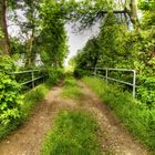 Brücke in die Natur