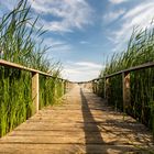 Brücke in die Natur